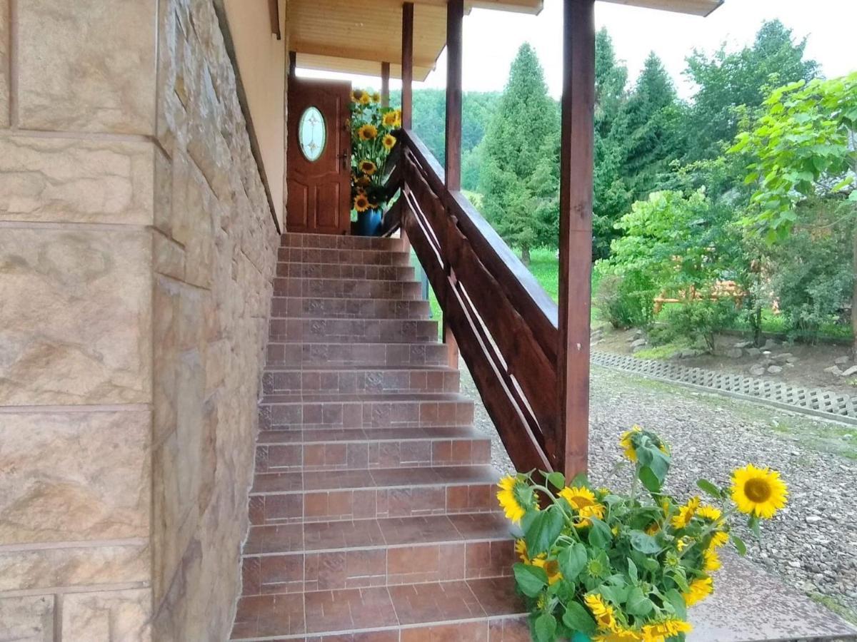 Noclegi pod lasem Solina 20 Exterior foto